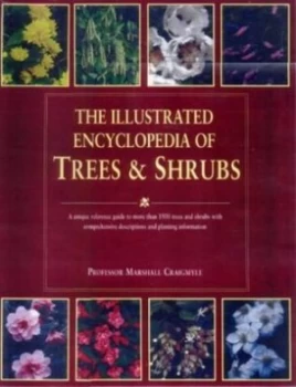 Image of The Illustrated Encyclopedia of Trees and Shrubs by Allen J Coombes and Justyn Willsmore Hardback