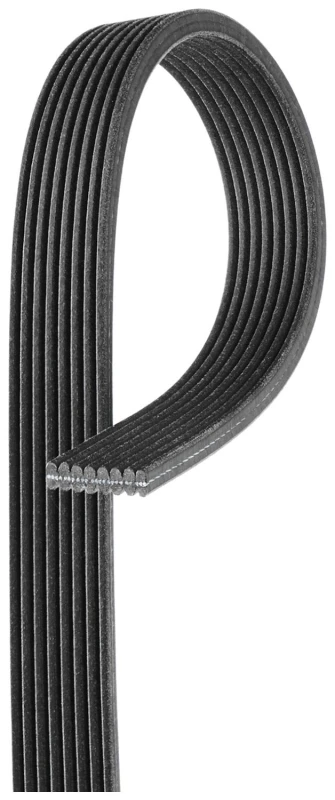 Image of GATES Serpentine belt GATES 8DPK1825