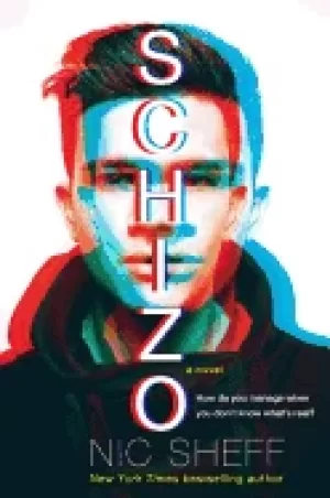 Image of schizo a novel