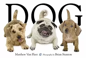 Image of dog van fleet matthew and stanton brian