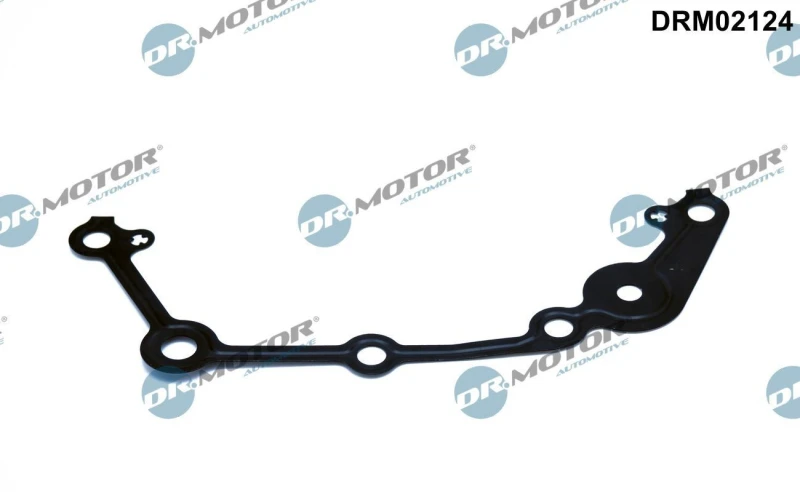 Image of DR.MOTOR AUTOMOTIVE Timing cover gasket DR.MOTOR AUTOMOTIVE DRM02124
