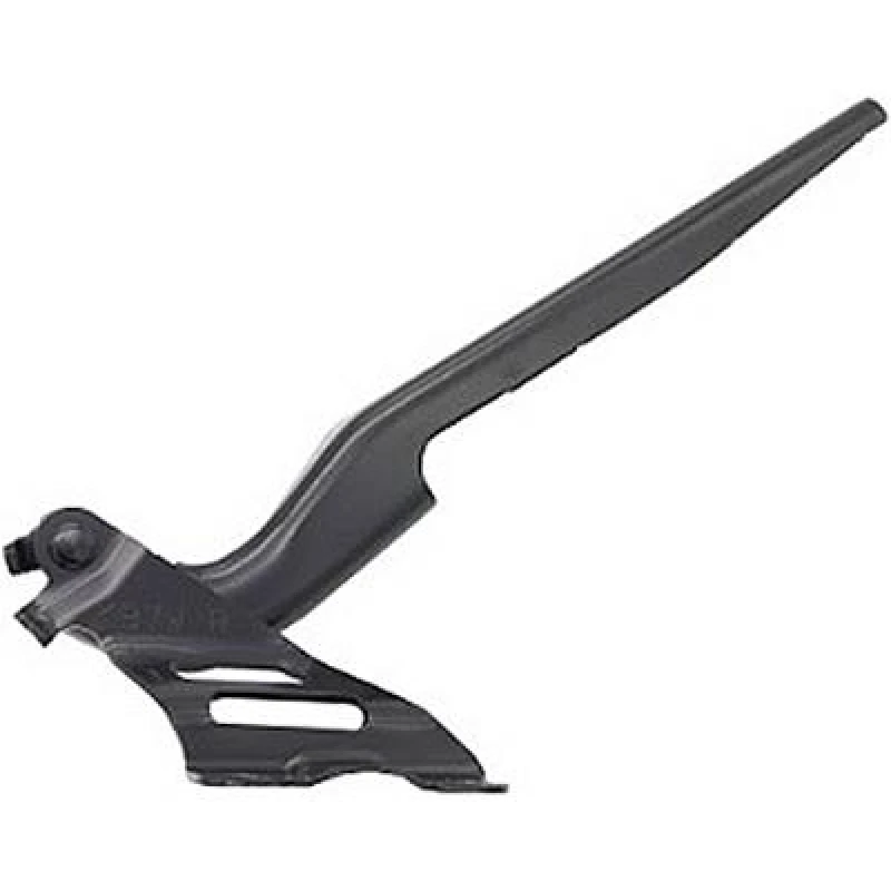 Image of Hinge, bonnet DIEDERICHS 5631018