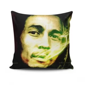 Image of JKRLNT-6 Multicolor Cushion