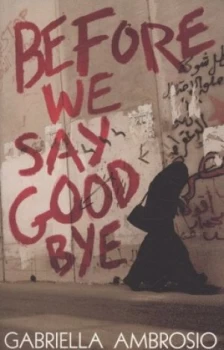 Image of Before We Say Goodbye by Gabriella Ambrosio Paperback
