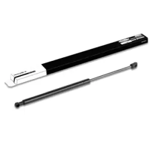 Image of RIDEX Tailgate strut FIAT,LANCIA 219G0133 46830389,46830389