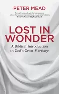 Image of lost in wonder a biblical introduction to gods great marriage