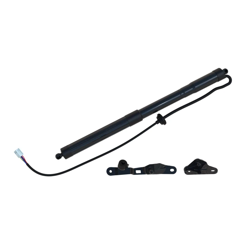 Image of Tailgate strut DIEDERICHS 9100511