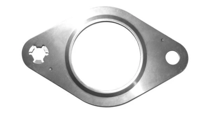 Image of Exhaust pipe gasket VEGAZ FD-176