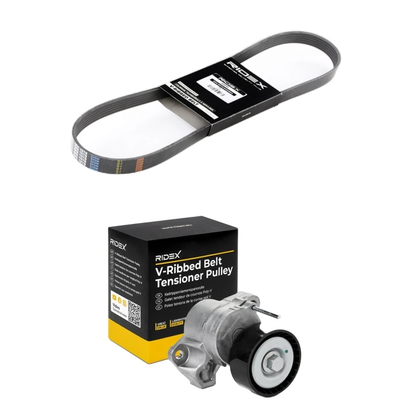 Image of RIDEX 542R1074 V-ribbed belt set V-Ribbed Belt Set (542)