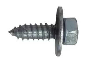 image of Acme Bolts - No. 10 x 3/4in. - Pack Of 2 PWN597 WOT-NOTS