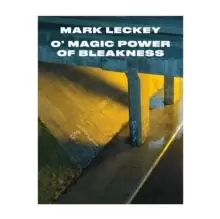 Image of Mark Leckey