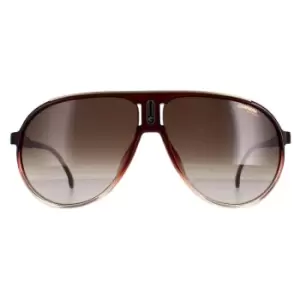 image of Aviator Burgundy Shade Brown Gradient Champion 65/N