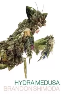 Image of Hydra Medusa