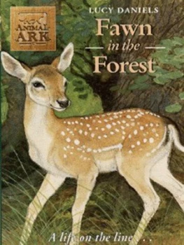 Image of Fawn in the Forest by Lucy Daniels Paperback