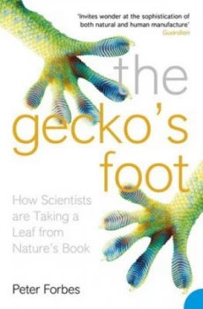 Image of The Geckos Foot by Peter Forbes Paperback