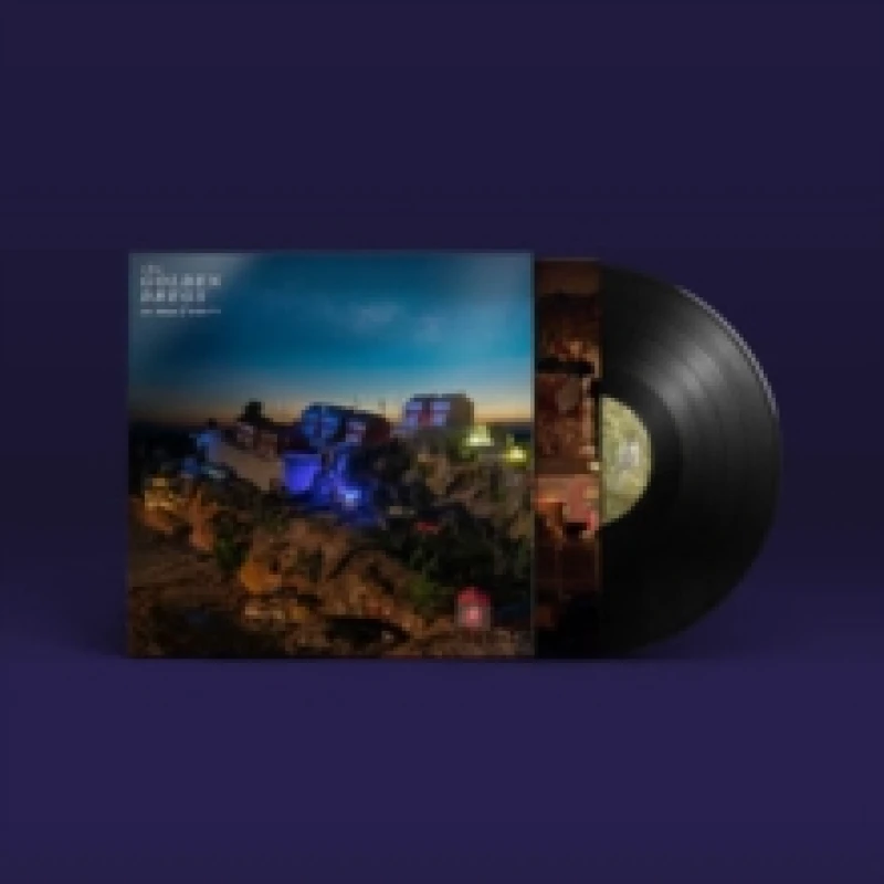 Image of On Grace & Dignity Vinyl