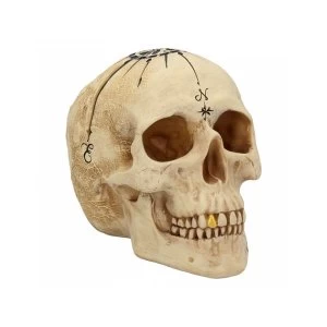 Image of Dead Mans Map Skull