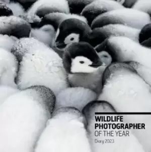 Image of Wildlife Photographer of the Year: by The Natural History Museum
