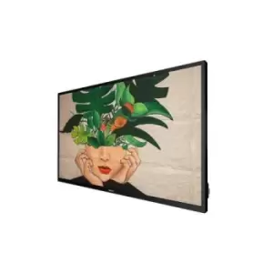 Image of Philips 43 43BDL4511D/00 Display