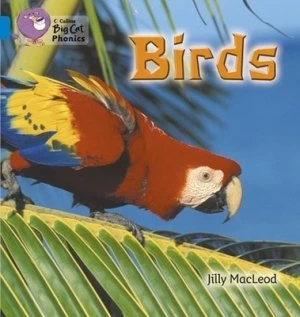 Image of Birds by Jilly Mcleod Book