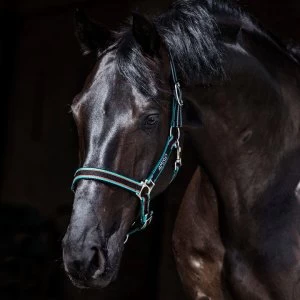 Image of Amigo Headcollar - Black/Teal