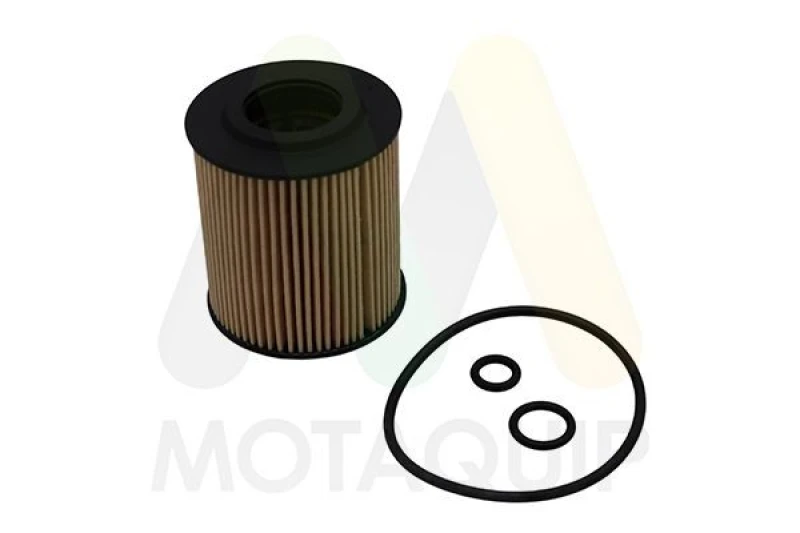 Image of MOTAQUIP Oil filter MOTAQUIP LVFL781