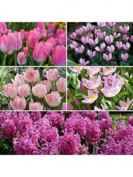 Image of Pretty In Pink Bulb Collection 59 Bulbs