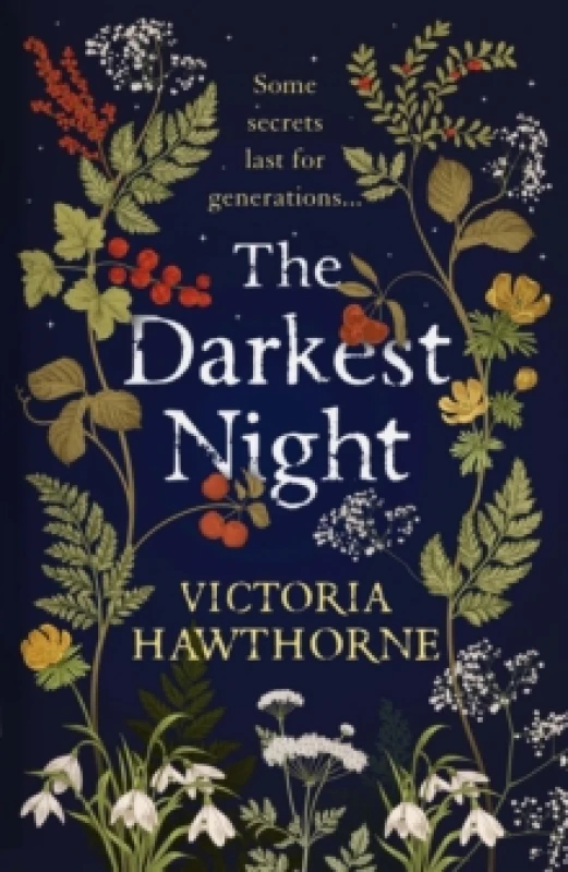 Image of The Darkest Night : a twisty historical mystery to keep you reading through the night Paperback / softback