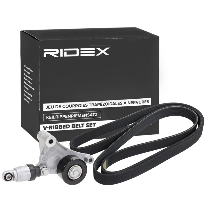 Image of RIDEX 542R0595 V-ribbed belt set V-Ribbed Belt Set (542)