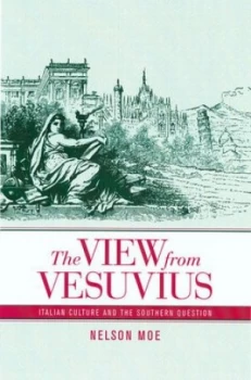 Image of The View from Vesuvius by Nelson J. Moe Hardback