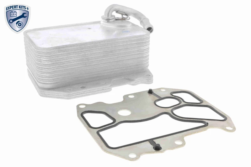 Image of Engine oil cooler VEMO V15-60-6075