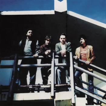 Image of Reigning Sound - Home For Orphans Vinyl
