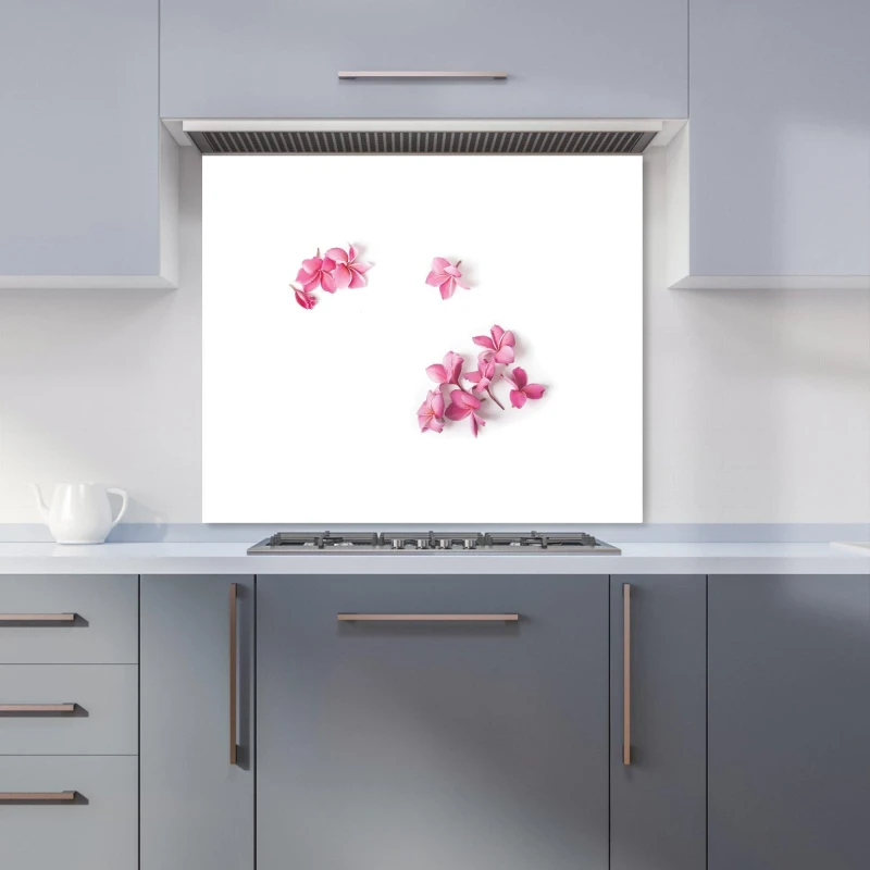 Image of Warren Reed - Designer Pink Frangipani Flowers Kitchen Splashback Size: 600mm x 650mm Pink Unisex 600mm x 650mm