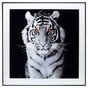 Image of Decor Picture Square Large Tiger Amber