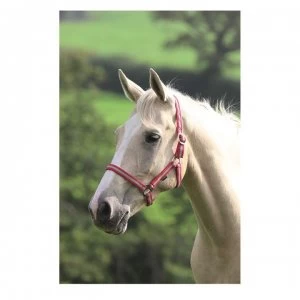 image of Shires Wessex Head Collar - Red/Silver