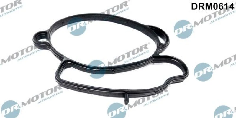 Image of DR.MOTOR AUTOMOTIVE Inlet manifold gasket DR.MOTOR AUTOMOTIVE DRM0614