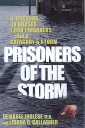 Image of No ordinary heroes by Demaree Inglese