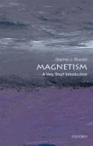 Image of magnetism a very short introduction