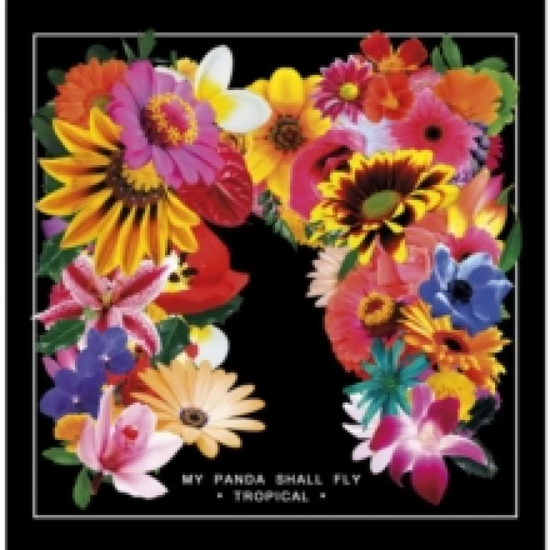 Image of Tropical Vinyl