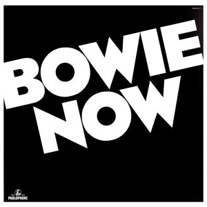 Image of David Bowie - Now Vinyl
