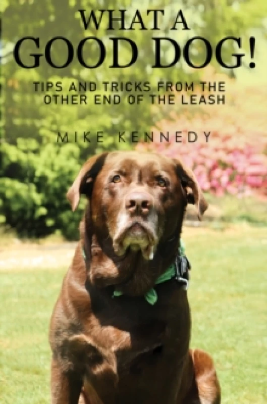 Image of What a Good Dog! Tips and Tricks from the Other End of the Leash. Paperback / softback
