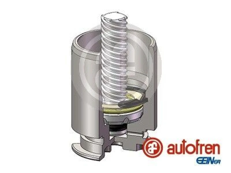 Image of AUTOFREN SEINSA Brake caliper piston AUTOFREN SEINSA D025422LK