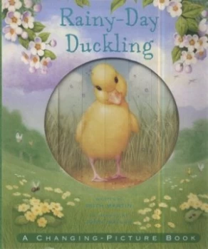 Image of Rainy-Day Duckling by Ruth Martin Hardback