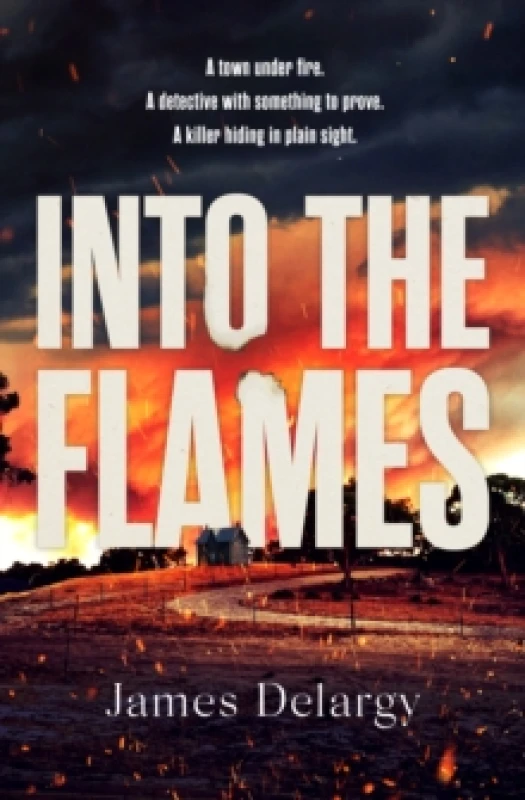 Image of Into the Flames : The scorching new summer thriller Paperback / softback