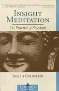 Image of insight meditation the practice of freedom