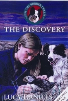 Image of The Discovery by Lucy Daniels Paperback