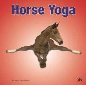 Image of Horse yoga by