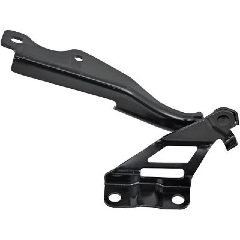 Image of Hinge, bonnet DIEDERICHS 5620019