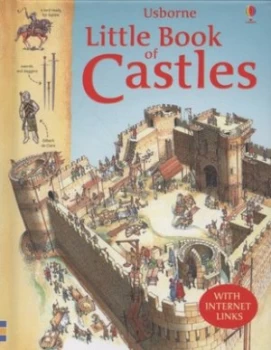 Image of Usborne Little Book of Castles by Lesley Sims and Dominic Groebner and Anne Millard and Jane Chisholm and David Cuzik and Ian Jackson and Justine Toro