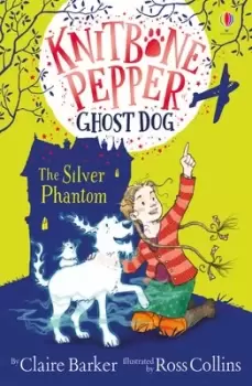 Image of The silver phantom by Claire Barker